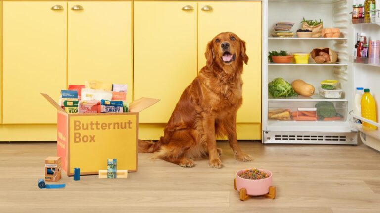 Read more about the article Butternut Box wolfs down $354M for subscription canine cuisine