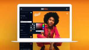 Read more about the article DistroKid acquires website builder Bandzoogle to expand its toolset for artists