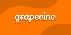 Read more about the article Peak XV acquires over 21% stake in Grapevine