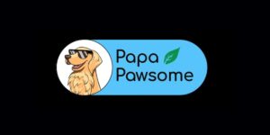 Read more about the article Papa Pawsome raises $400K in seed round led by IAN