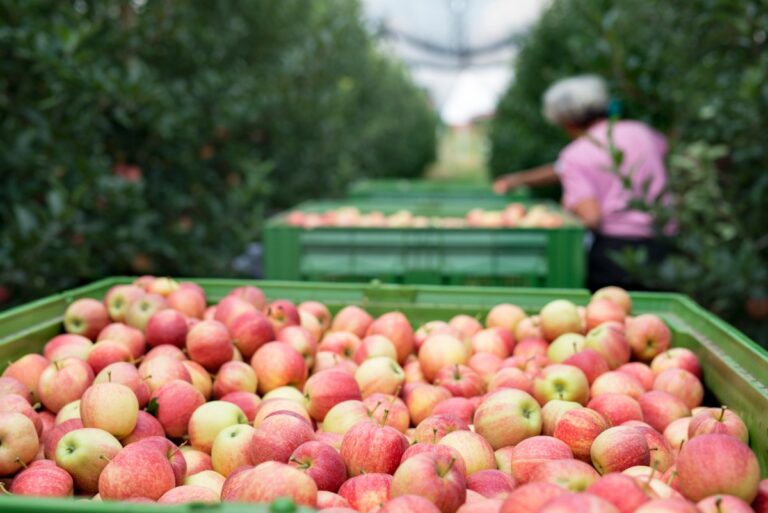 Read more about the article ProducePay raises $38M to tackle produce supply chain waste